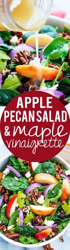 Apple Pecan Salad with Maple Vinaigrette