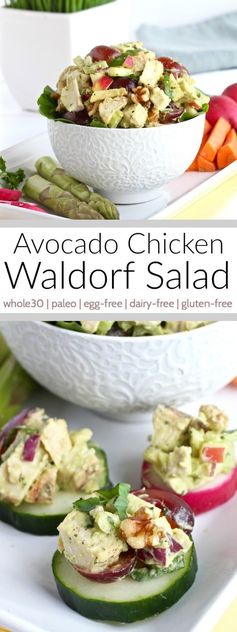 Avocado Chicken Waldorf Salad