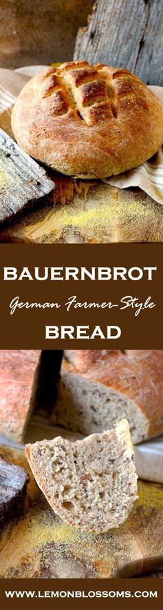 Bauernbrot ~ A German Farmer-Style Bread