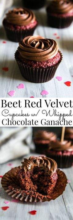 Beet Red Velvet Cupcakes with Whipped Chocolate Ganache