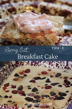 Berry Oat Cake