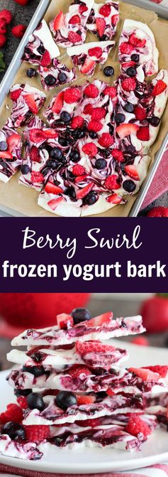 Berry Swirl Frozen Yogurt Bark