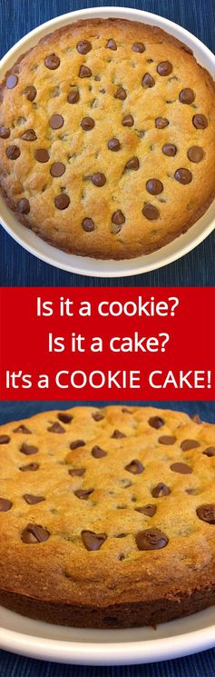 Best Easy Chocolate Chip Cookie Cake