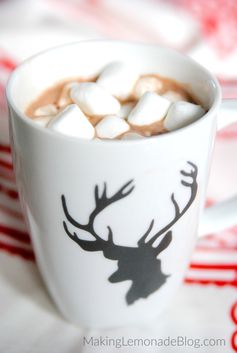 Best Ever Crockpot Hot Chocolate