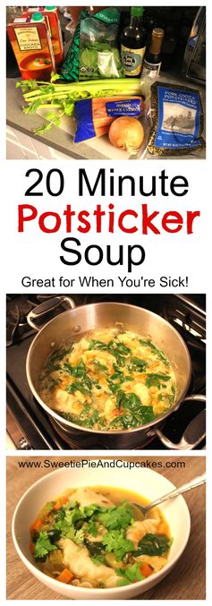 Best Homemade Potsticker Soup