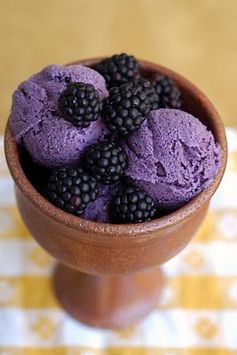 Blackberry Frozen Yogurt