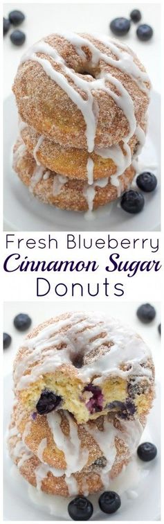 Blueberry Cinnamon Sugar Donuts (with Vegan, Gluten Free, & Dairy Free Options