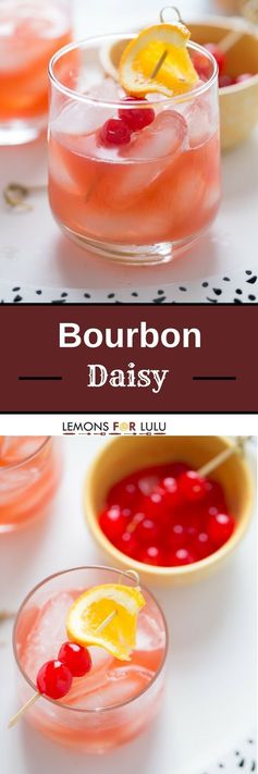 Bourbon Daisy