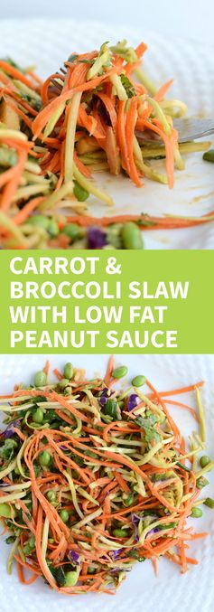 Broccoli Slaw with Low Fat Peanut Dressing