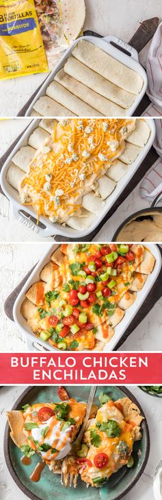 Buffalo Chicken Enchiladas