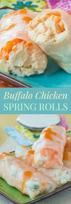 Buffalo Chicken Spring Rolls