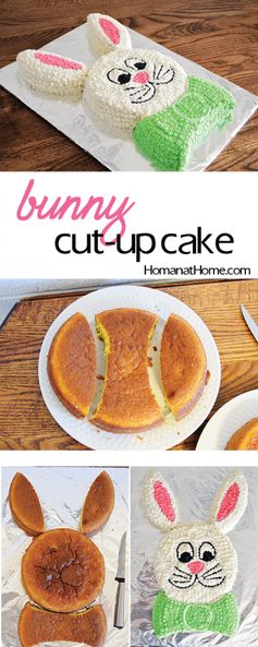 Bunny Cut Up Cake