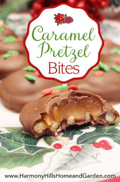 Caramel Pretzel Bites