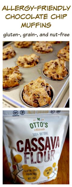 Cassava Flour Chocolate Chip Muffins