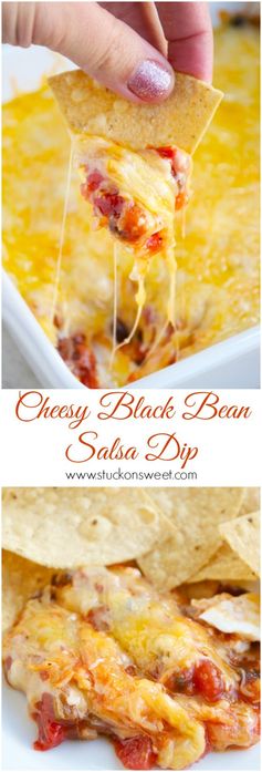 Cheesy Black Bean and Salsa Dip