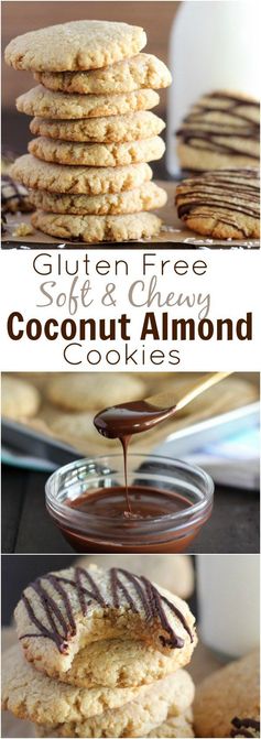 Chewy Coconut Almond Cookies (Gluten Free