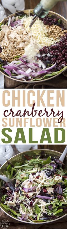 Chicken Cranberry Sunflower Salad