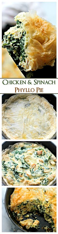 Chicken Florentine Phyllo Pie