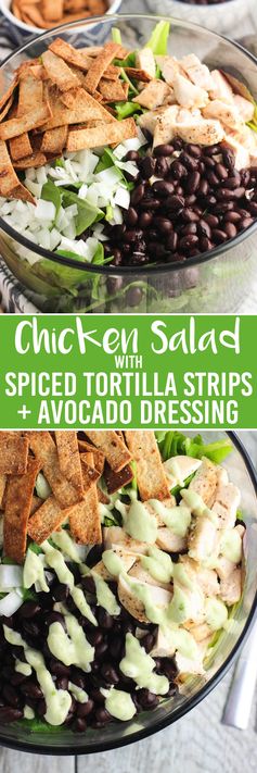 Chicken Salad with Spiced Tortilla Strips and Avocado Dressing