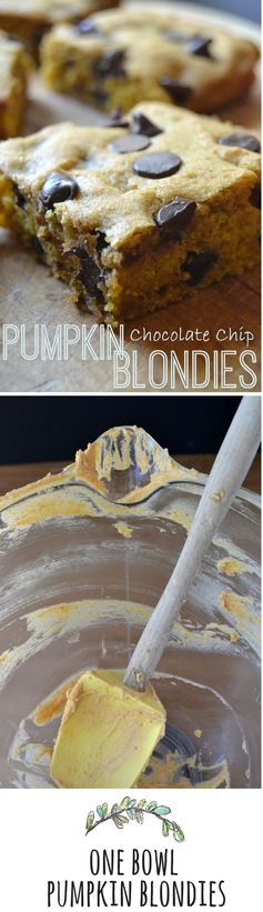 Chocoalate Chip Pumpkin Blondies