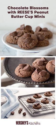 Chocolate Blossoms with REESE'S Peanut Butter Cup Minis