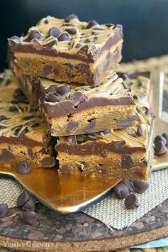 Chocolate Chip Peanut Butter Blondies