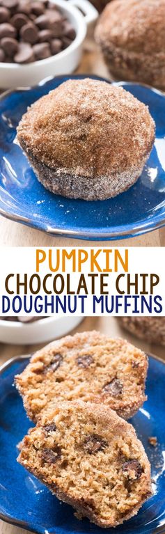 Chocolate Chip Pumpkin Doughnut Muffins