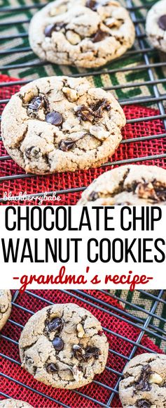 Chocolate Chip Walnut Cookies