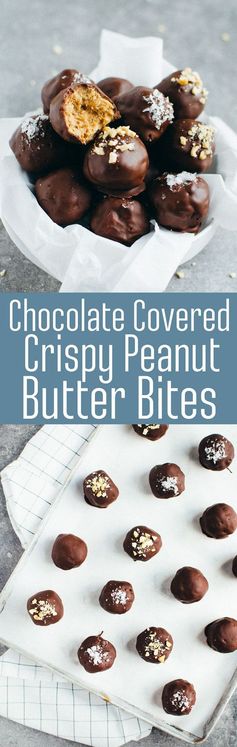 Chocolate Covered Crispy Peanut Butter Bites