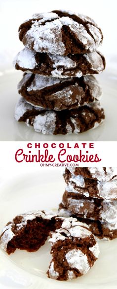 Chocolate Crinkle Cookies & Cookie Recipe Exchange