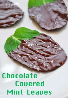 Chocolate Mint Leaves