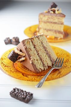 Chocolate Orange Spice Cake