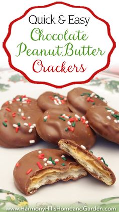 Chocolate Peanut Butter Crackers