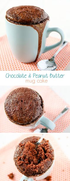 Chocolate Peanut Butter Mug Cake