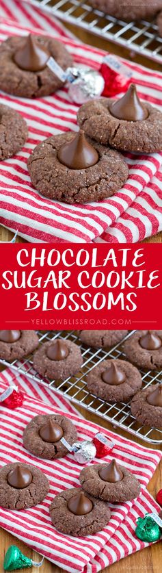 Chocolate Sugar Cookie Blossoms