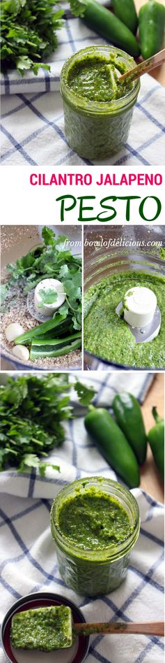 Cilantro Jalapeno Pesto