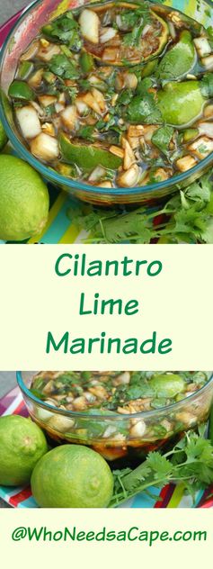 Cilantro Lime Marinade