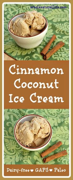 Cinnamon Coconut Ice Cream