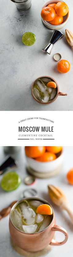 Clementine Moscow Mules