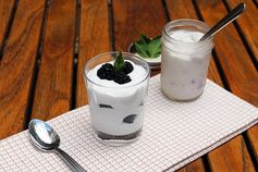 Coconut Cream Yogurt