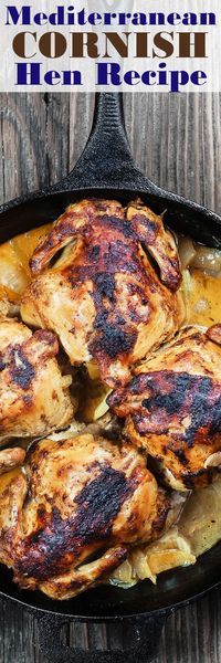 Cornish Hen Recipe with Mediterranean Garlic-Spice Rub