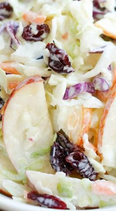 Cranberry Apple Coleslaw