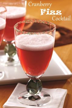 Cranberry Fizz Cocktail