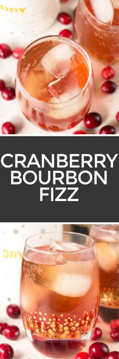 Cranberry Ginger Bourbon Fizz