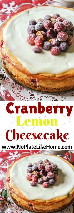 Cranberry Lemon Cheesecake