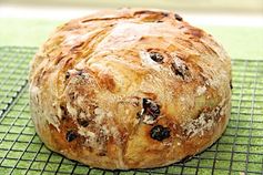 Cranberry Pecan Five Minute Artisan Bread