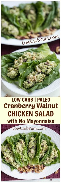 Cranberry Walnut Chicken Salad without Mayonnaise