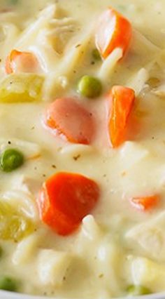 Creamy Chicken Noodle and Vegetable Soup