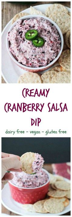 Creamy Cranberry Salsa Dip