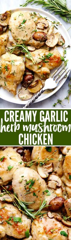 Creamy Garlic Herb Mushroom Chicken